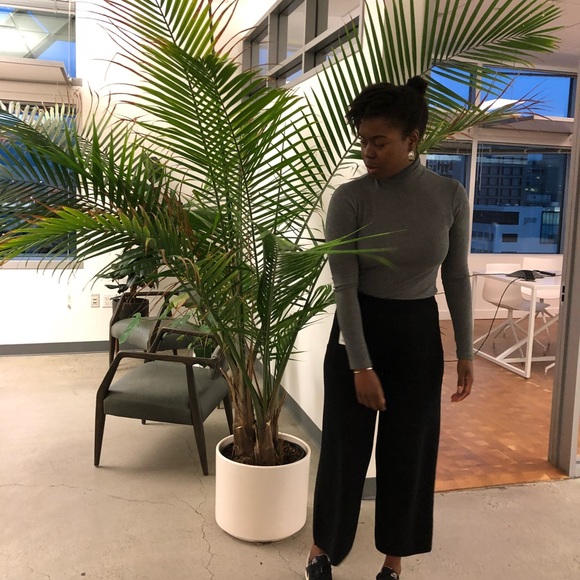 Meet your Posher, Docia - Picture 2 of 3